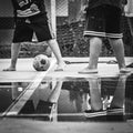 Eco Summer Games Pro Bundle