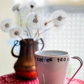 Coffe Pro Bundle - Deluxe - Coffe Gifts - Luxe Aroma