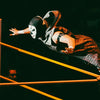 Signature Wwe Starter Kit 3 3 - Wwe Accessories - Luxe Aroma