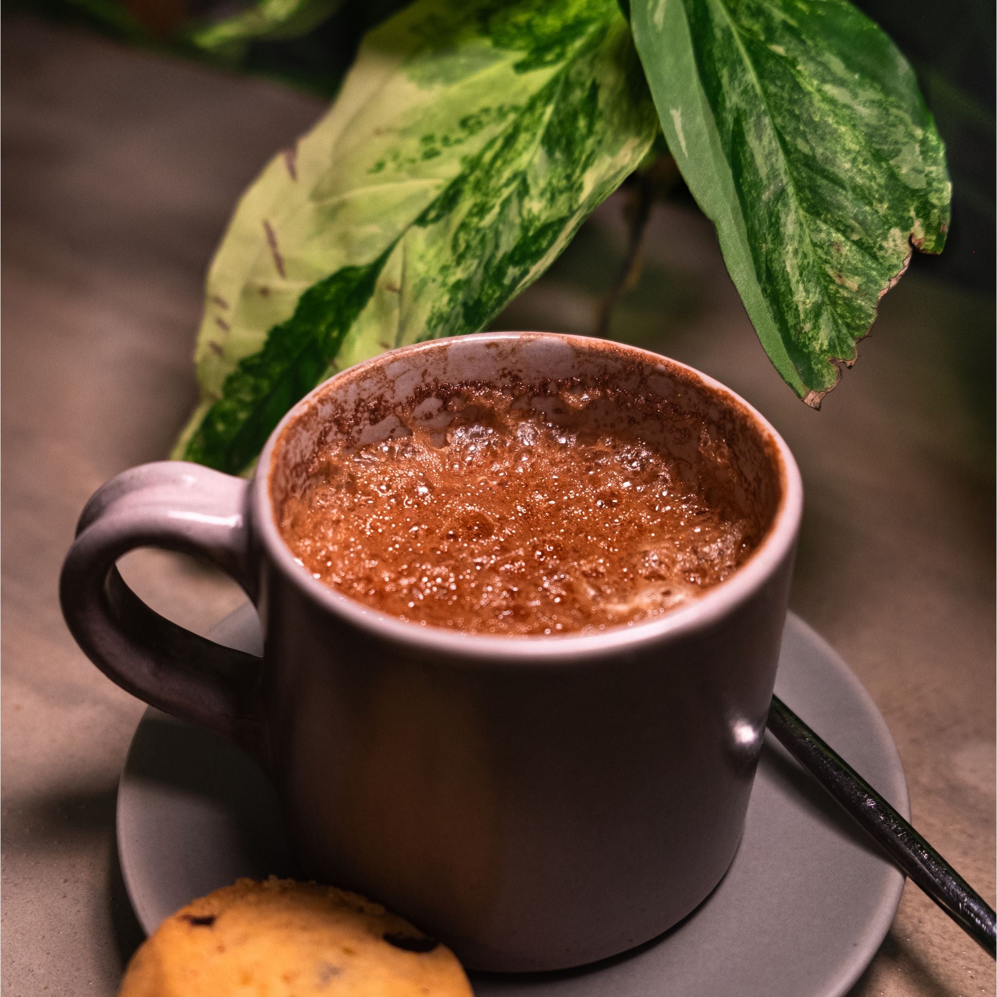 Premium Coffe Trial Pack - Coffe Essentials - Luxe Aroma