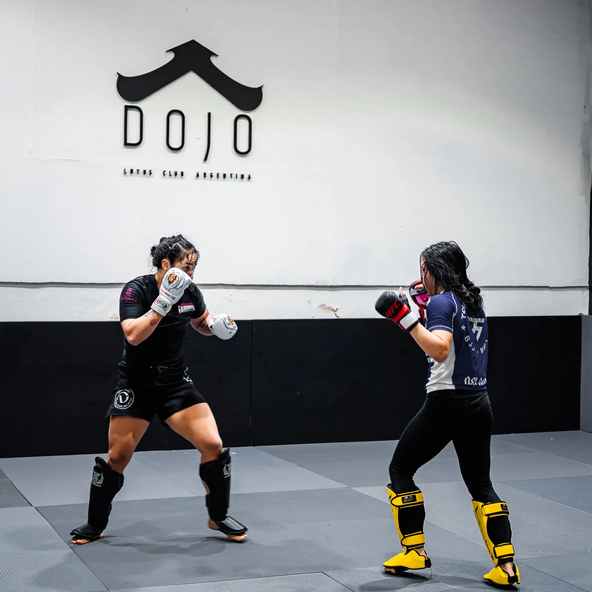 Essential Mma Pro Bundle 40 40 - Mma Collection - Luxe Aroma