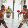 Modern Mma Essentials Set 5 5 - Mma Essentials - Luxe Aroma