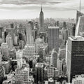 Premium Sports Signature Collection - Sports Essentials - Luxe Aroma